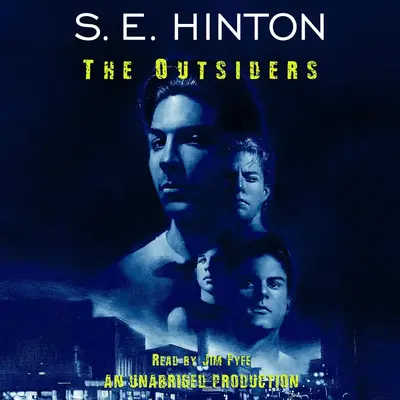 The Outsiders 追逐金色的少年