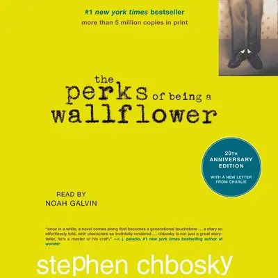 The Perks of Being a Wallflower 壁花少年